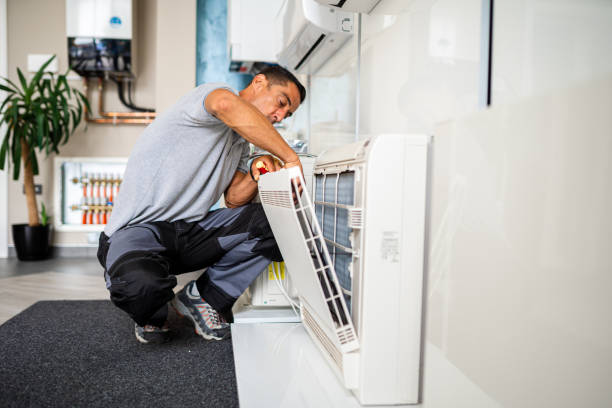 Best Duct Cleaning for Homes  in Duluth, WA