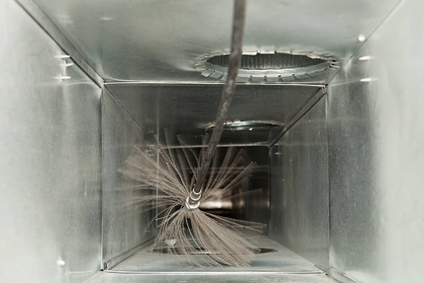 Best Local Air Duct Cleaning Services  in Duluth, WA