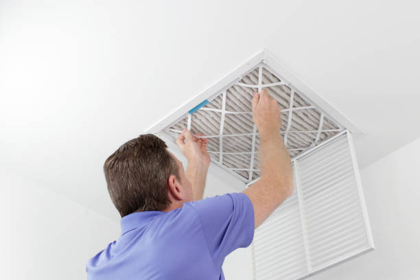 Best Air Duct Cleaning Near Me  in Duluth, WA
